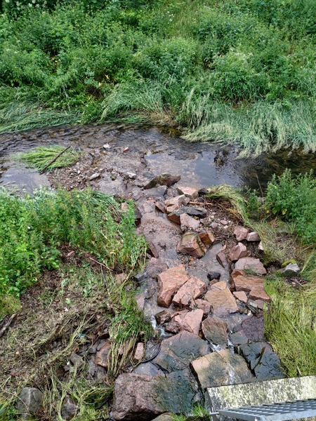 P_20230624_075510.png